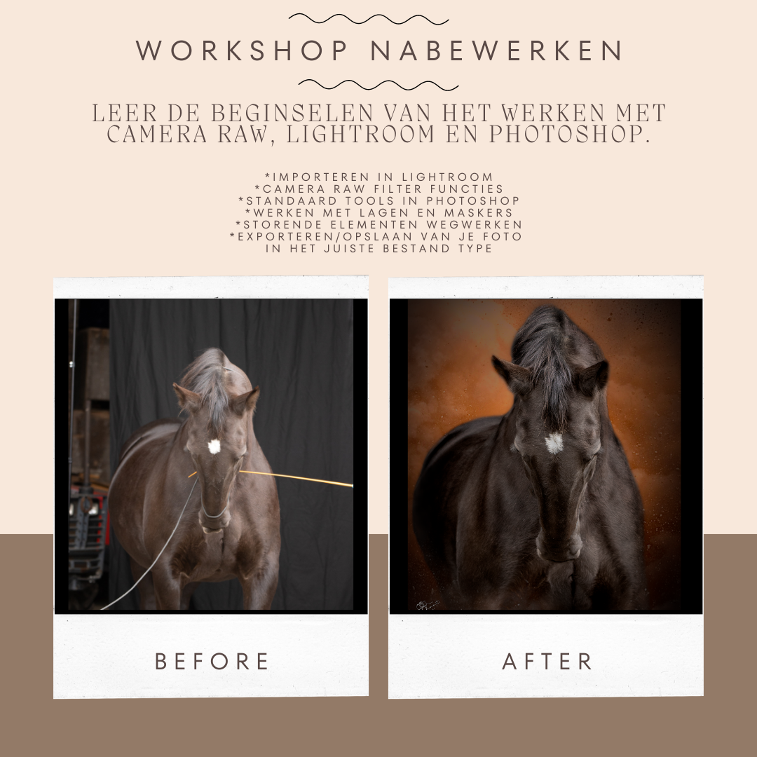 Workshop Photoshop, fotografie nabewerking van je foto's